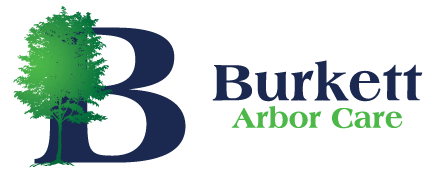 Burkett Arbor Care logo